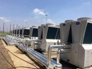 家用中央成人抖音91免费看休眠期如何保养