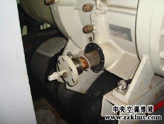 中央成人抖音91免费看成人抖音免费版更换油过滤芯