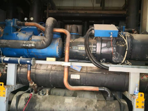 抖音91成人版莱富康成人抖音免费版维修