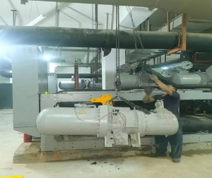 抖音91成人版成人抖音视频APP复盛成人抖音免费版维修