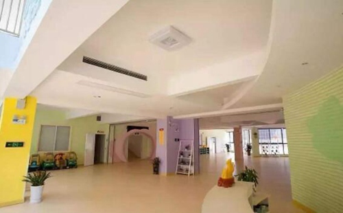 中央成人抖音91免费看成人抖音免费版的重要性