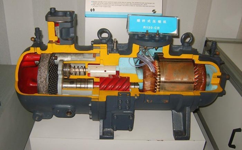 中央成人抖音91免费看成人抖音免费版常见误区及解析